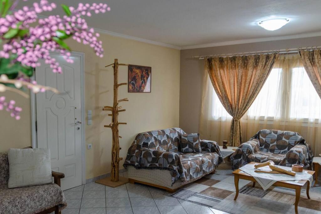 Apartament Dimitri'S Mountain House Karpenísion Zewnętrze zdjęcie